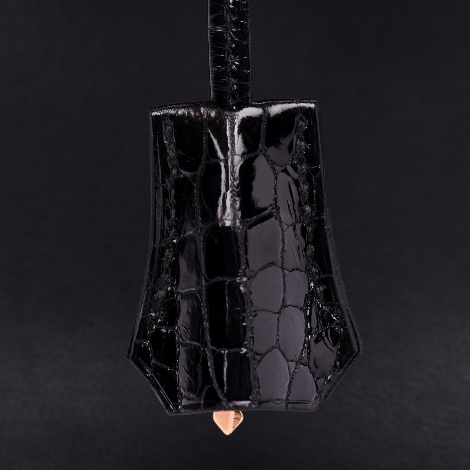 Hermes Taurillon Novillo Shiny Niloticus Crocodile Birkin Touch 25 Black 33 of 35