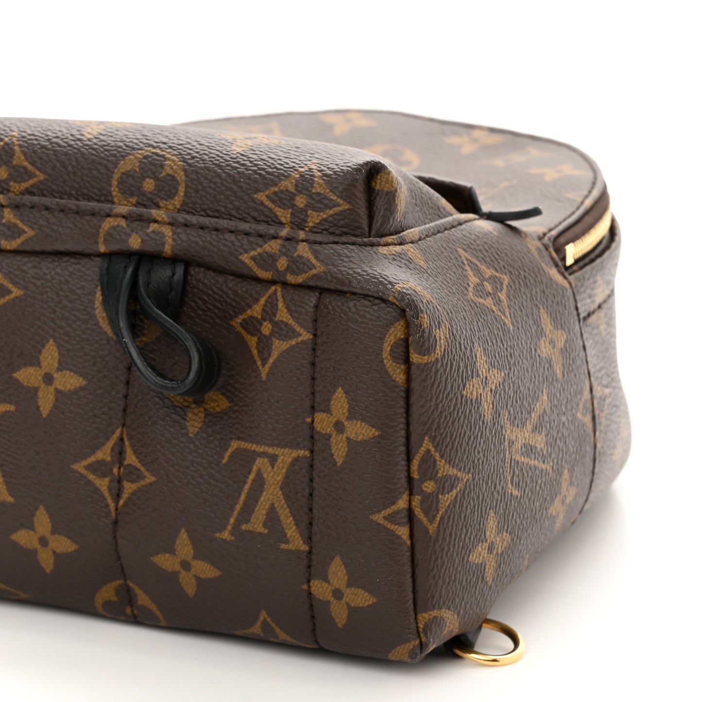 Monogram Palm Springs Backpack Mini
