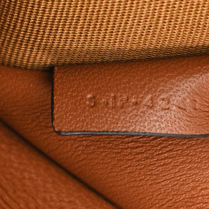 Celine Triomphe Canvas Calfskin Mini Clutch on Chain Tan 8 of 11