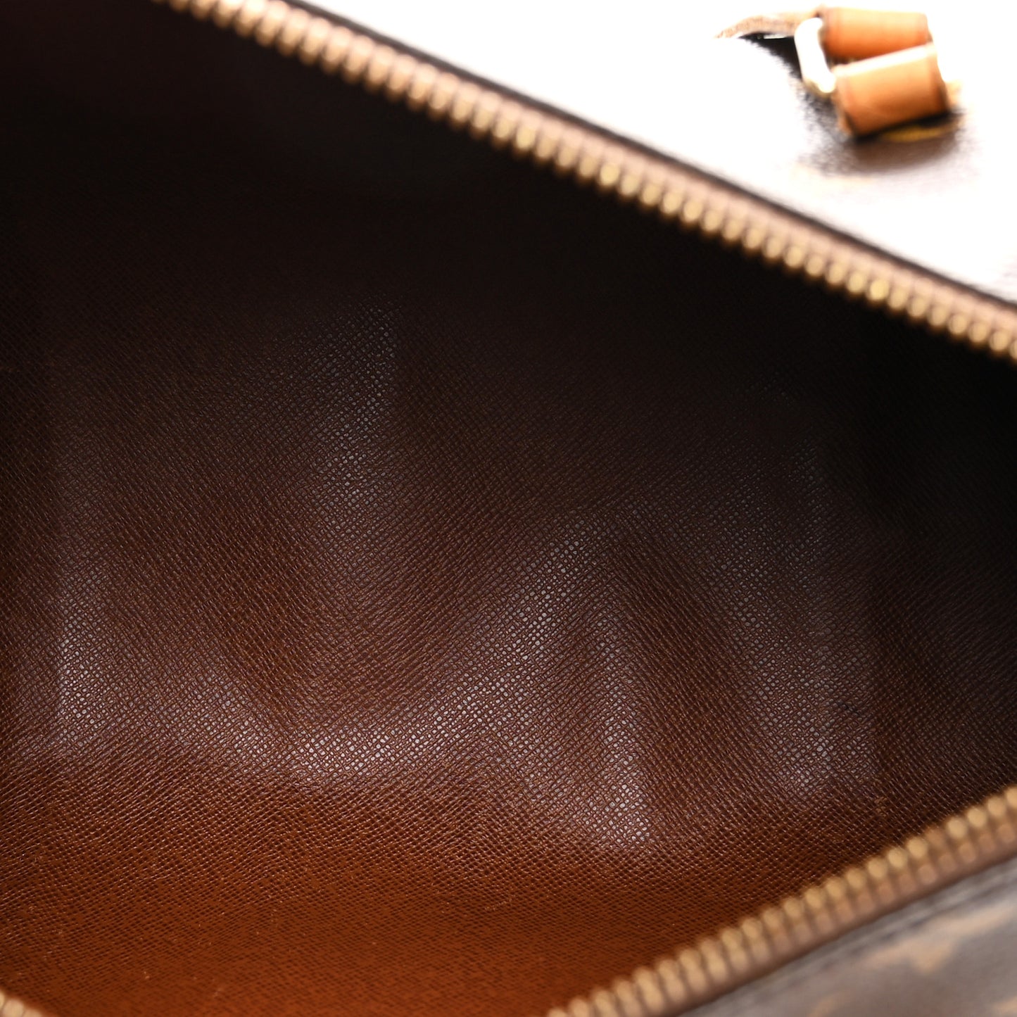Monogram Papillon 30 with Companion