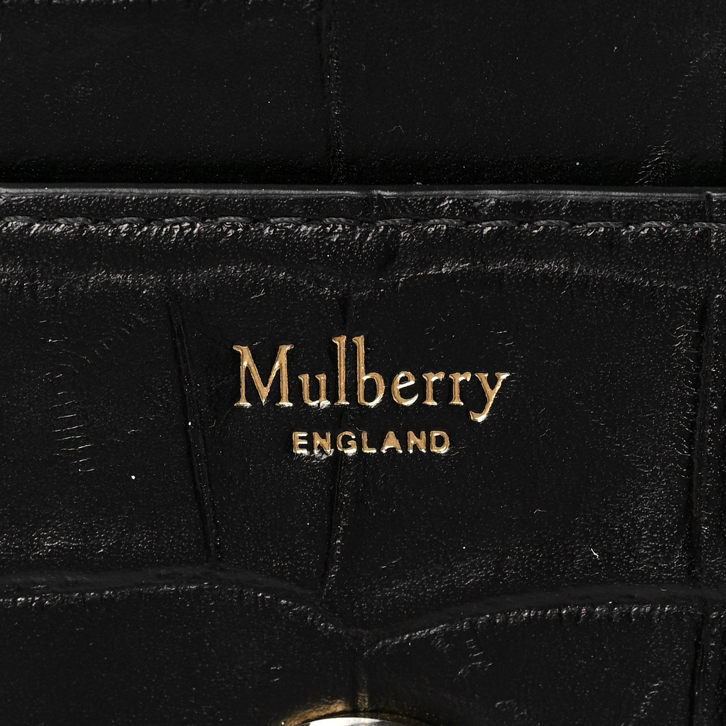 Crocodile Embossed Calfskin Small Darley Black