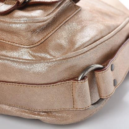 Christian Dior Metallic Calfskin Medium Gaucho Double Saddle Bag Bronze 9 of 13