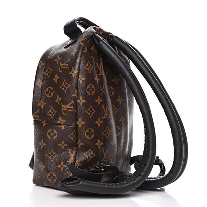 Louis Vuitton Monogram Palm Springs Backpack PM 3 of 11