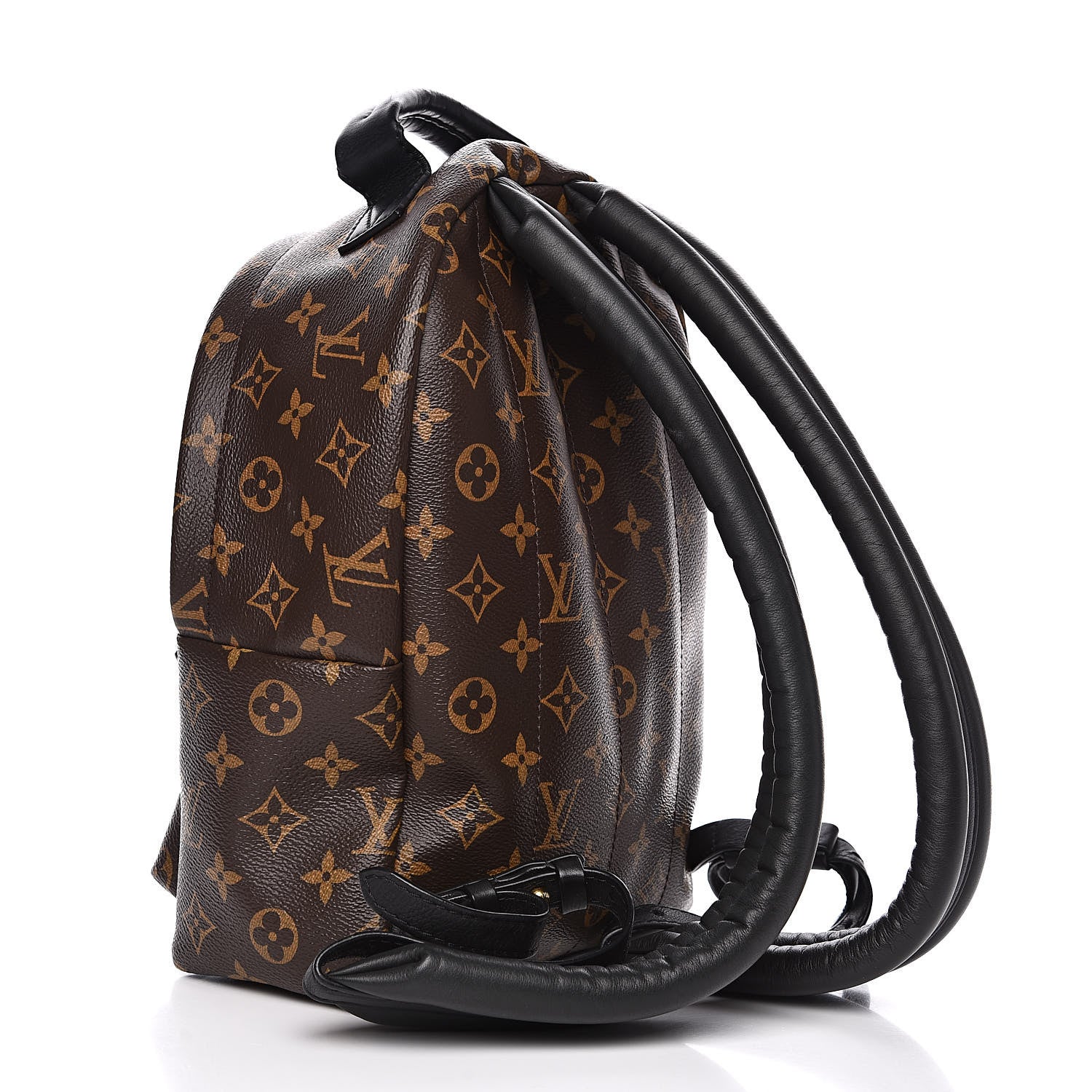 Louis Vuitton Monogram Palm Springs Backpack PM 3 of 11