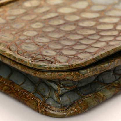 Salvatore Ferragamo Alligator Degrade Iolanda Clutch Cygno 8 of 9