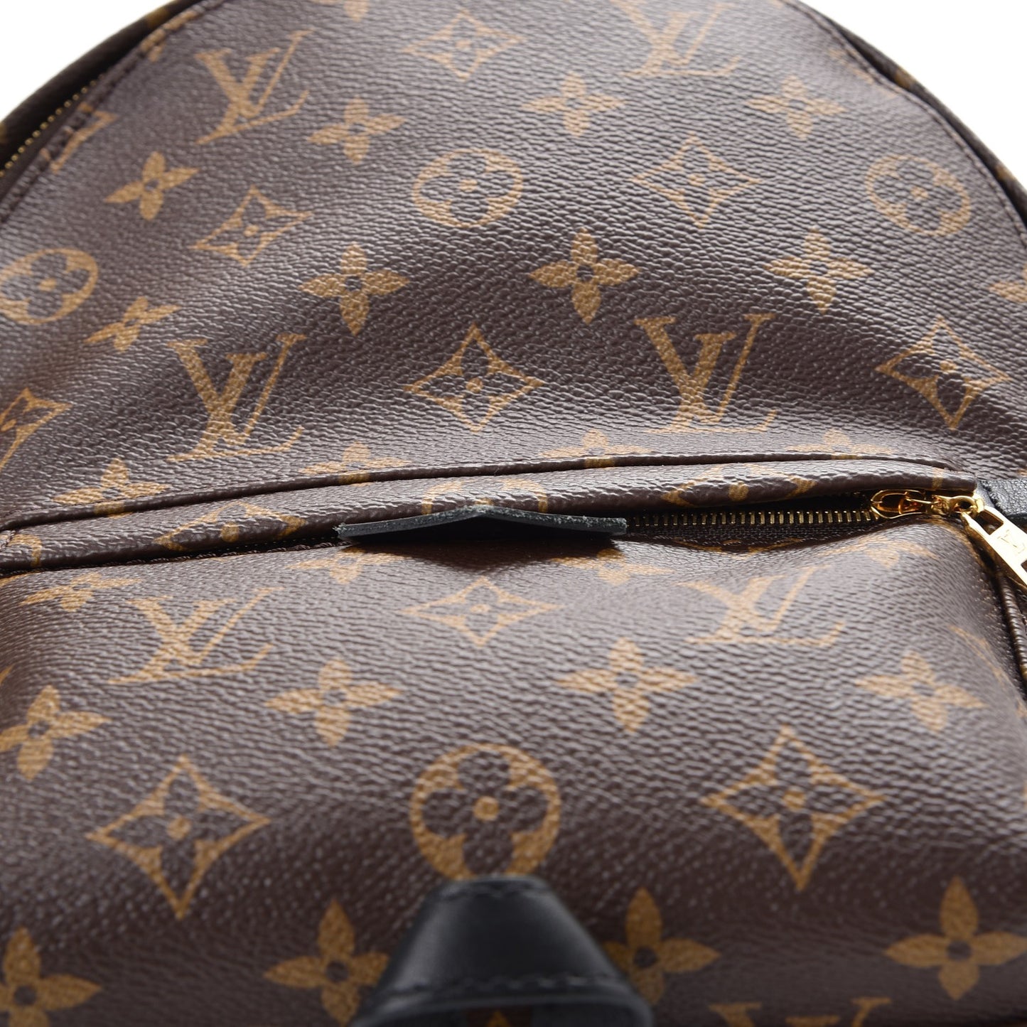 Monogram Palm Springs Backpack PM