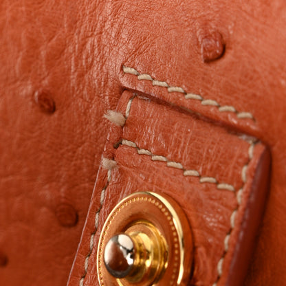 Prada Ostrich  Tote Cognac 12 of 13