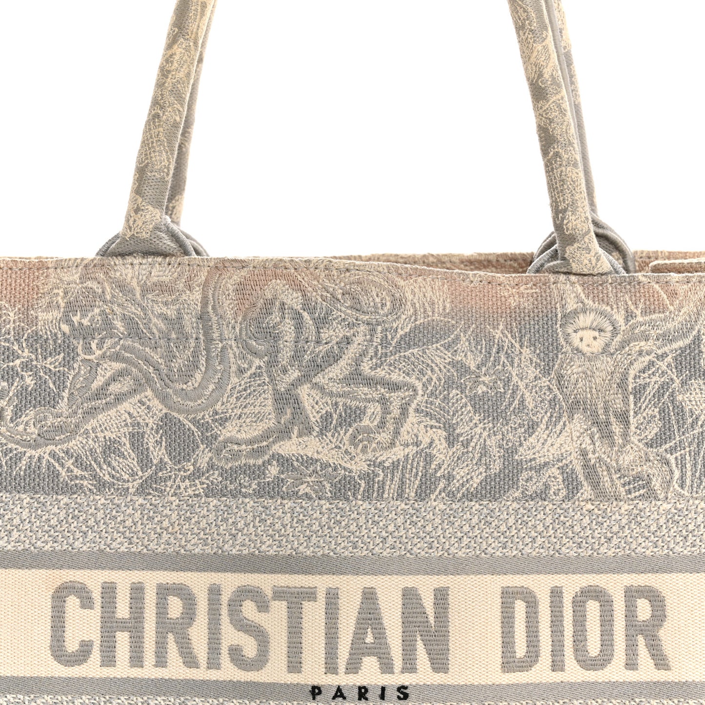 Canvas Embroidered Medium Dioriviera Toile De Jouy Book Tote Gray