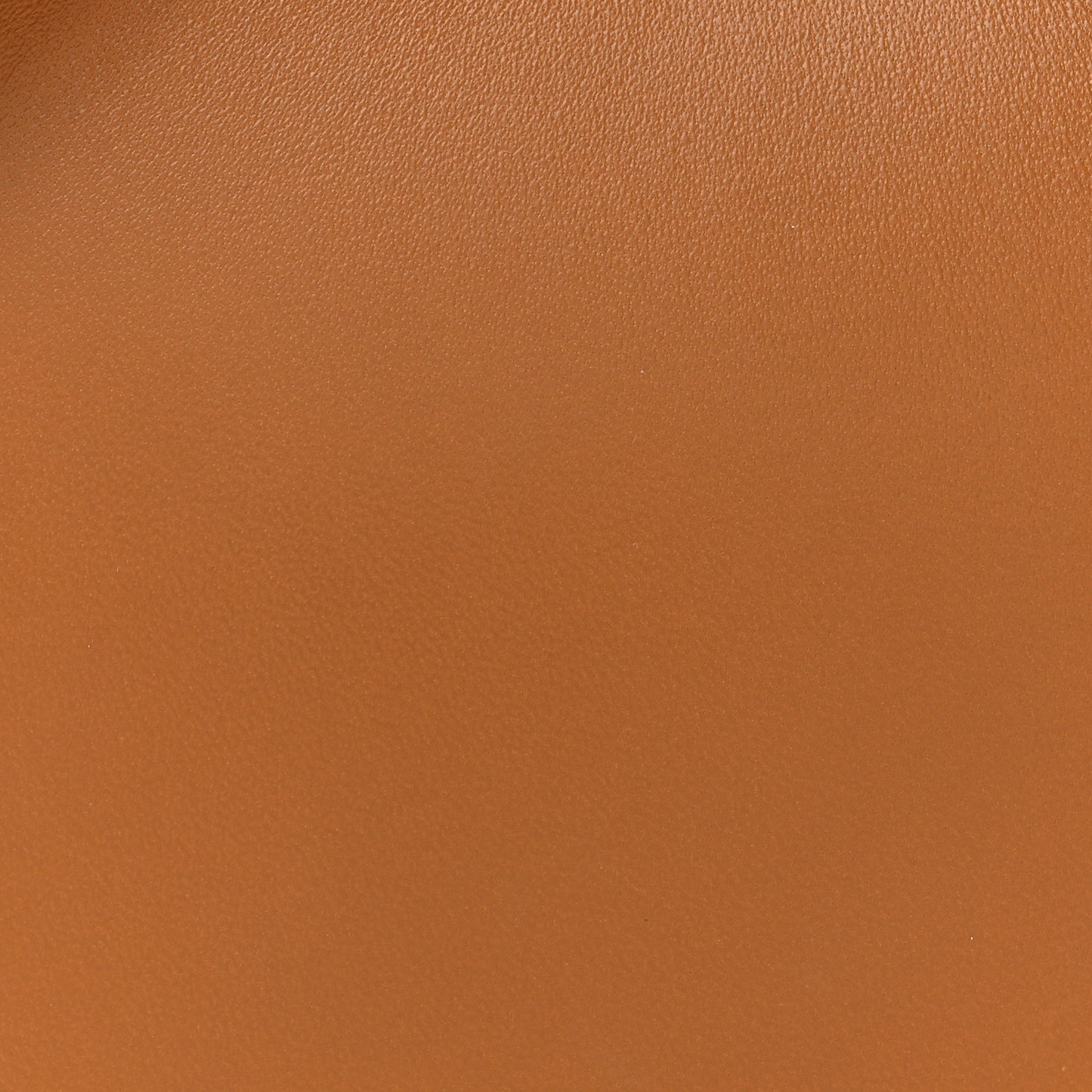 Shiny Nappa Flower Petite Peekaboo I SEE U Satchel Caramello