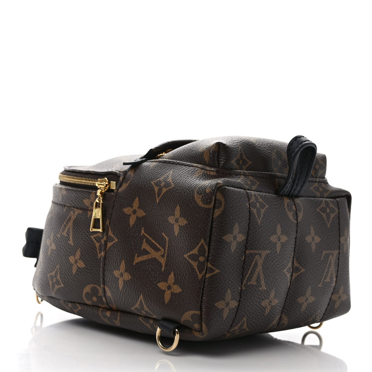Monogram Palm Springs Backpack Mini