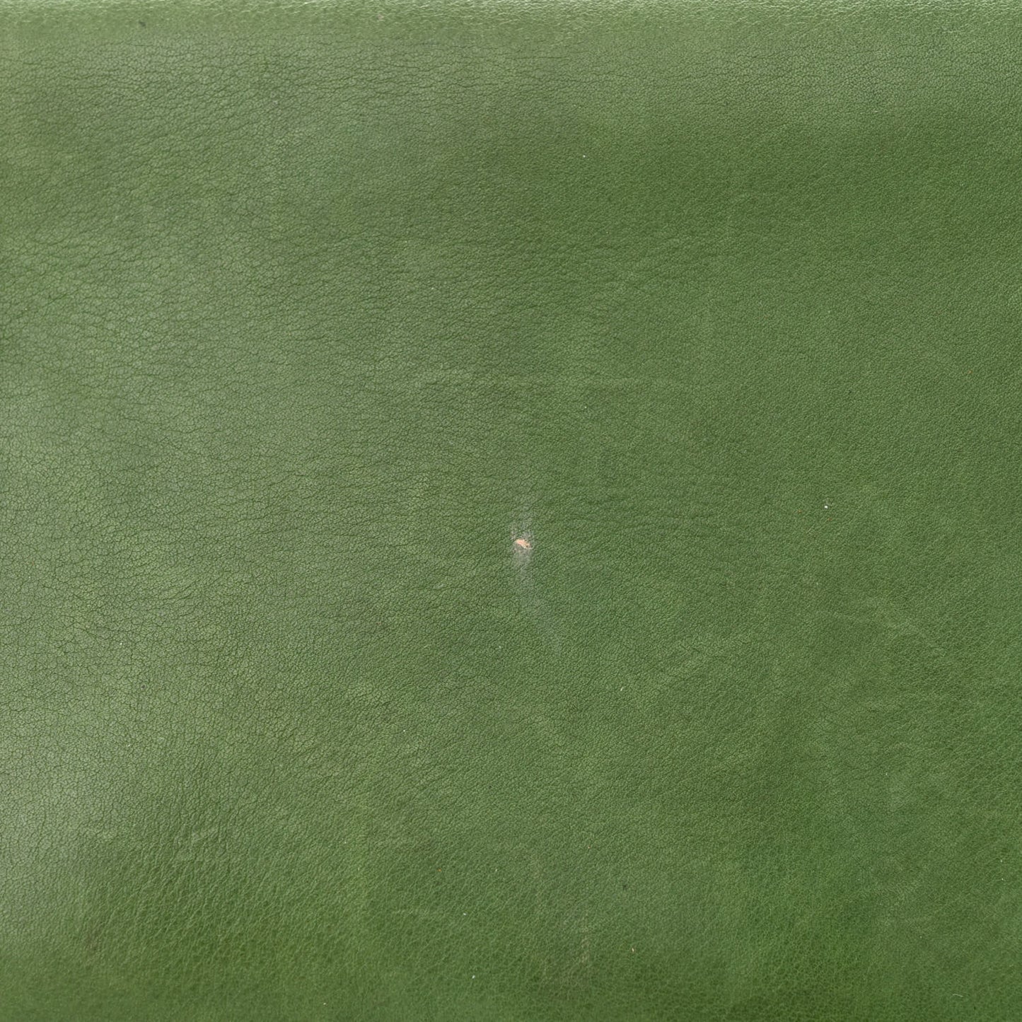 Calfskin Horsebit Chain Clutch Green