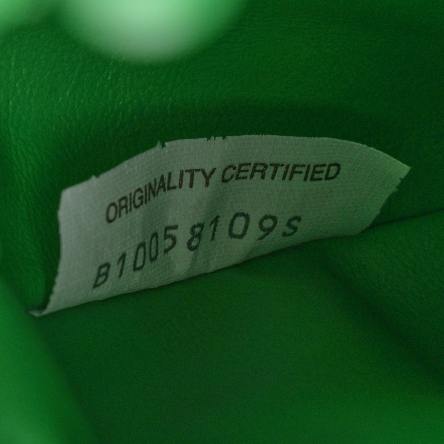 Nappa Studded Intrecciato Mini Jodie Parakeet