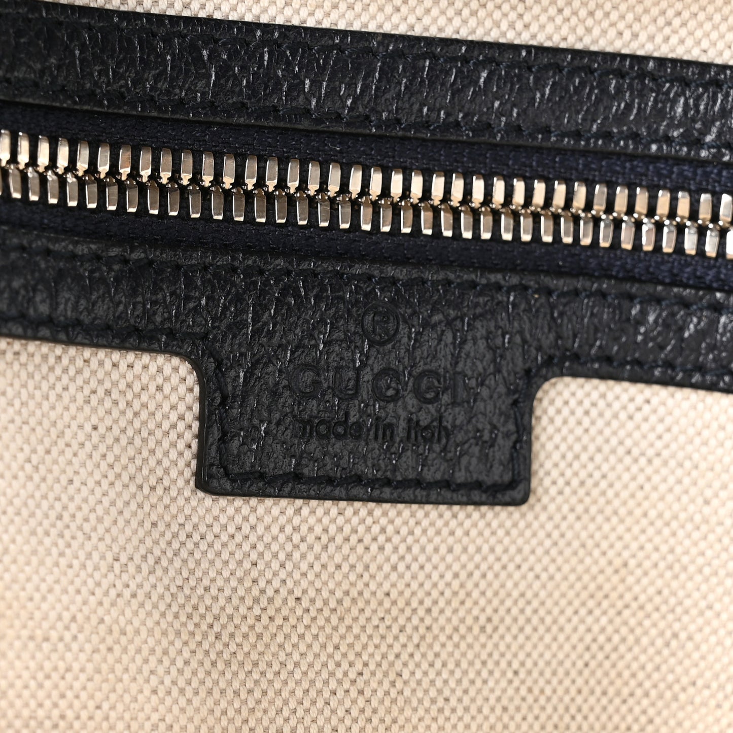 GG Supreme Monogram Textured Dollar Calfskin Web Small Ophidia Day Backpack Beige Blue Black