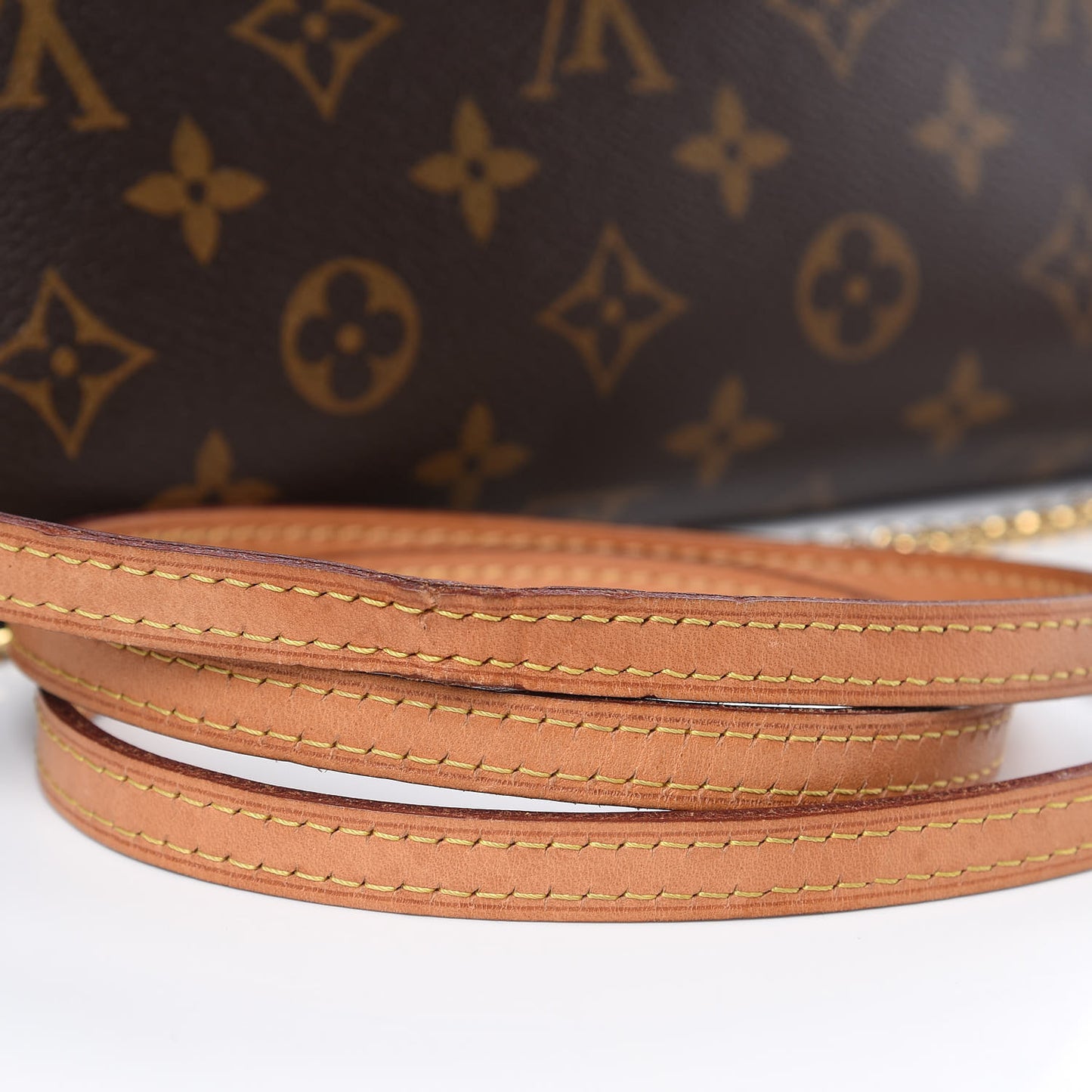 Monogram Eva Clutch