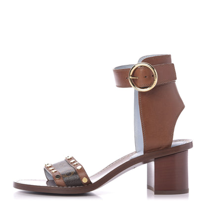 Louis Vuitton Calfskin Monogram Passenger Sandals 38 Cognac 1 of 10