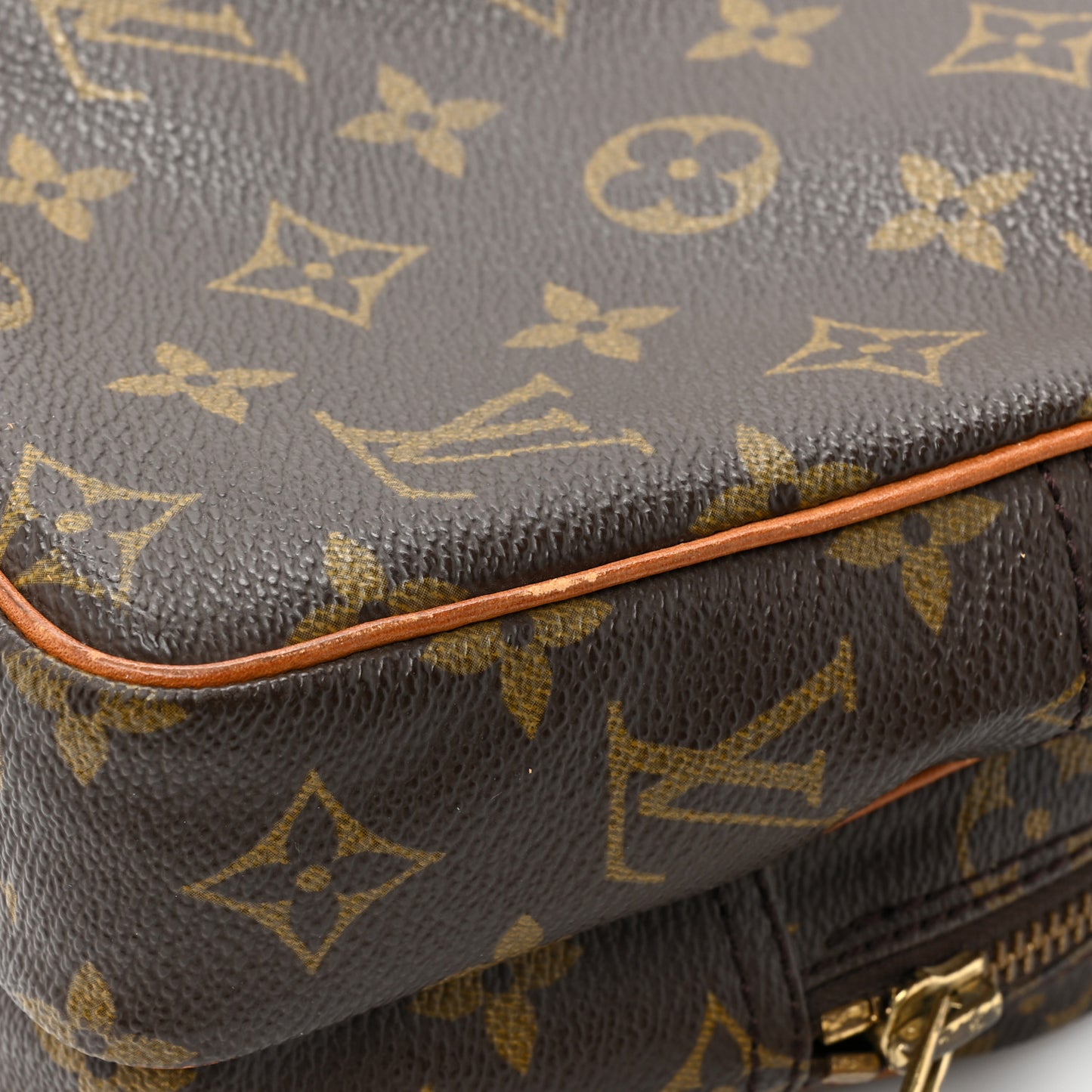 Monogram Amazone PM
