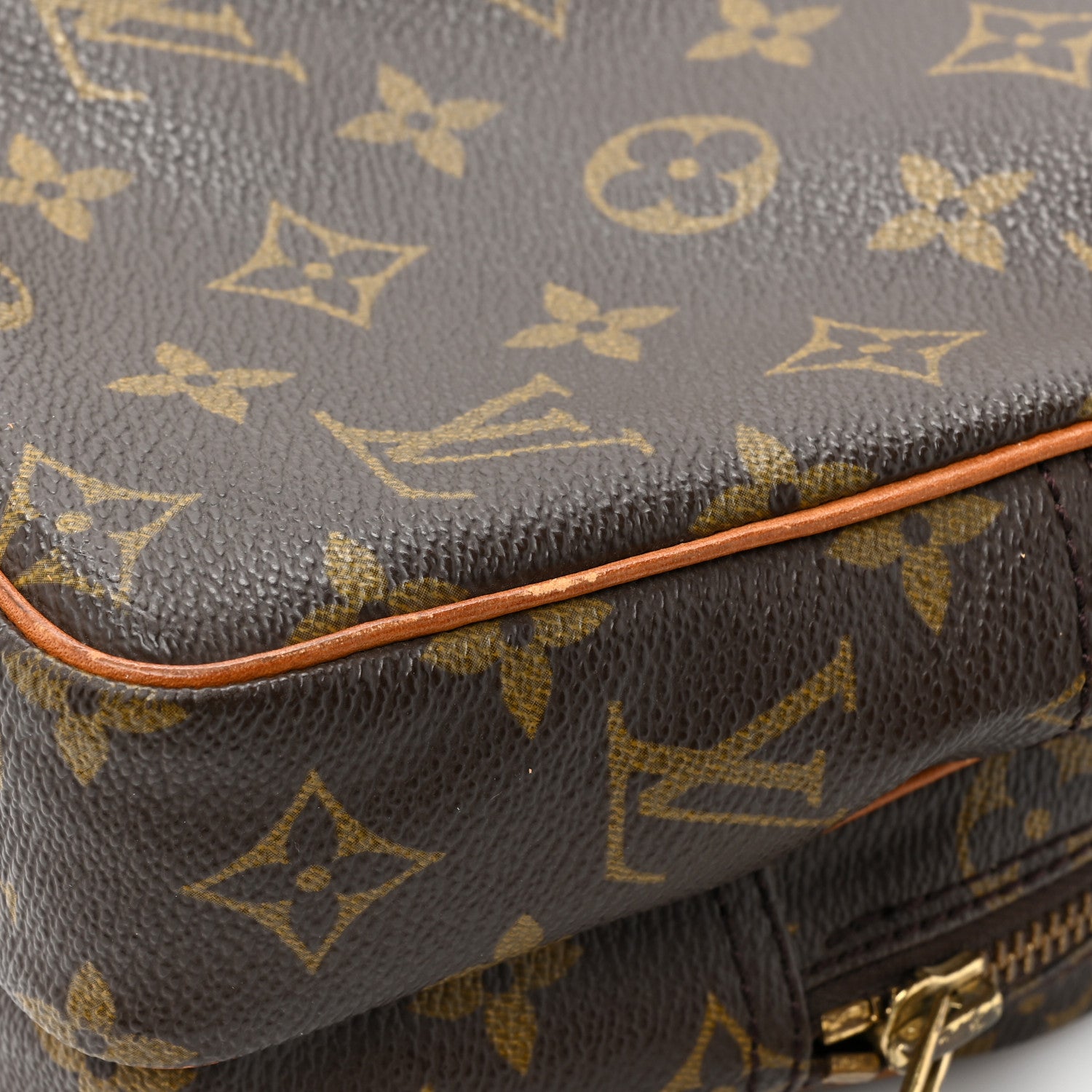Louis Vuitton Monogram Amazone PM 19 of 20