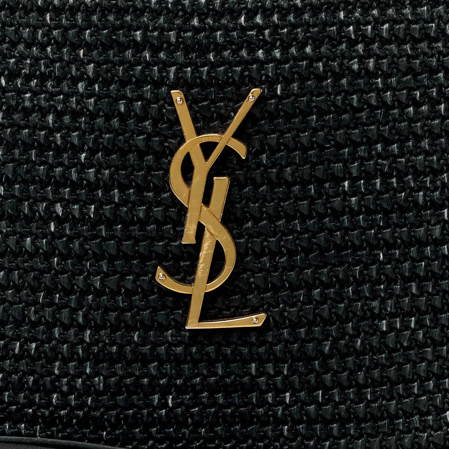 Raffia Canvas Monogram Lou Camera Bag Black
