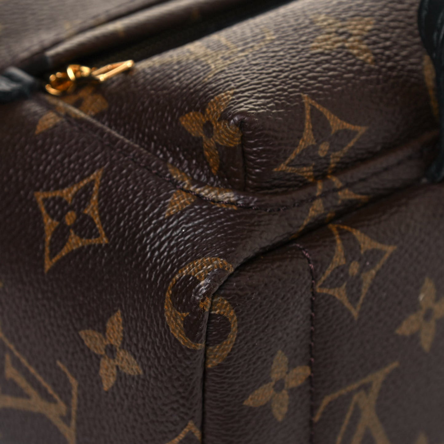Monogram Palm Springs Backpack Mini