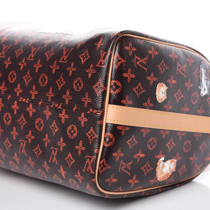 Louis Vuitton Catogram Speedy Bandouliere 30 Marron 8 of 11