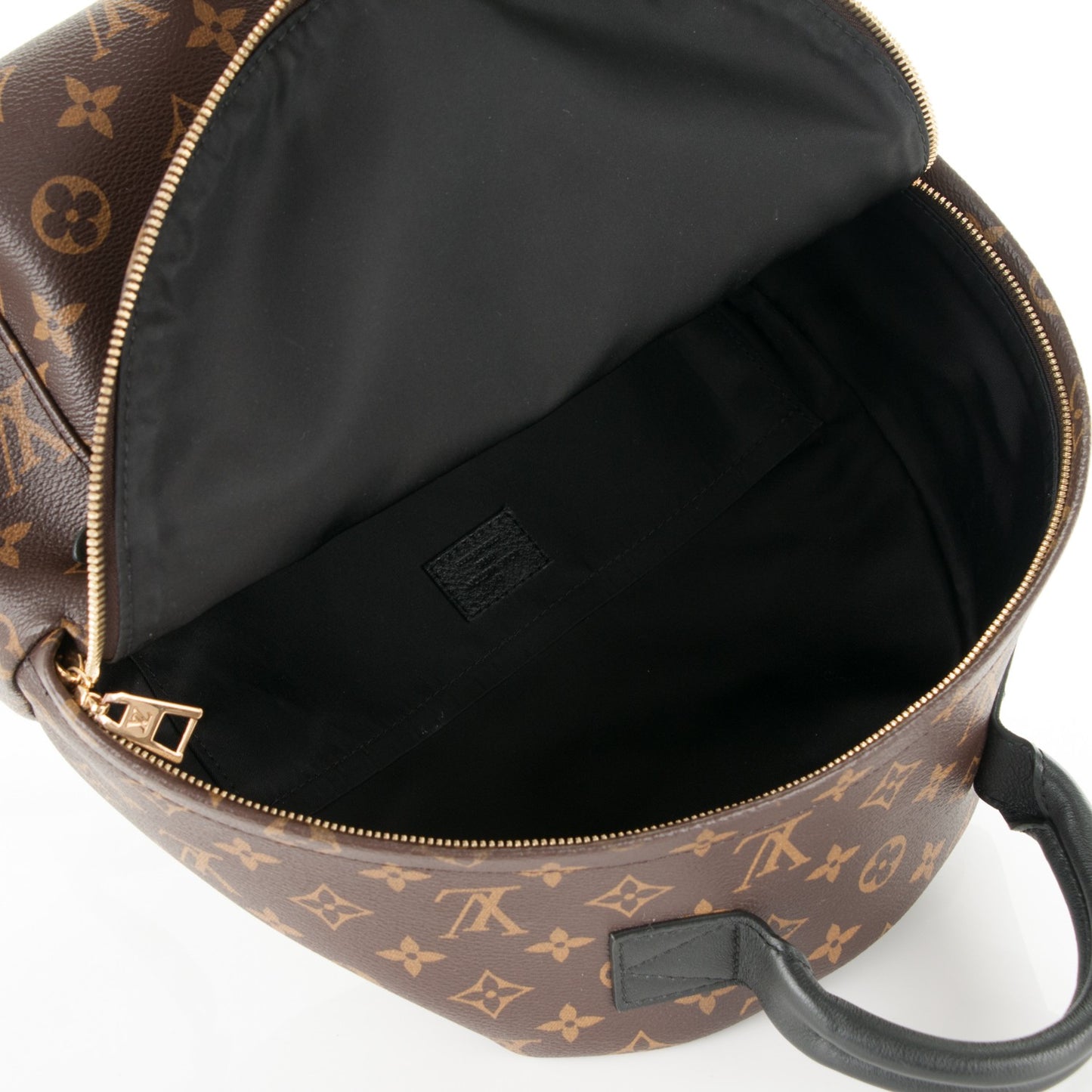 Monogram Palm Springs Backpack MM