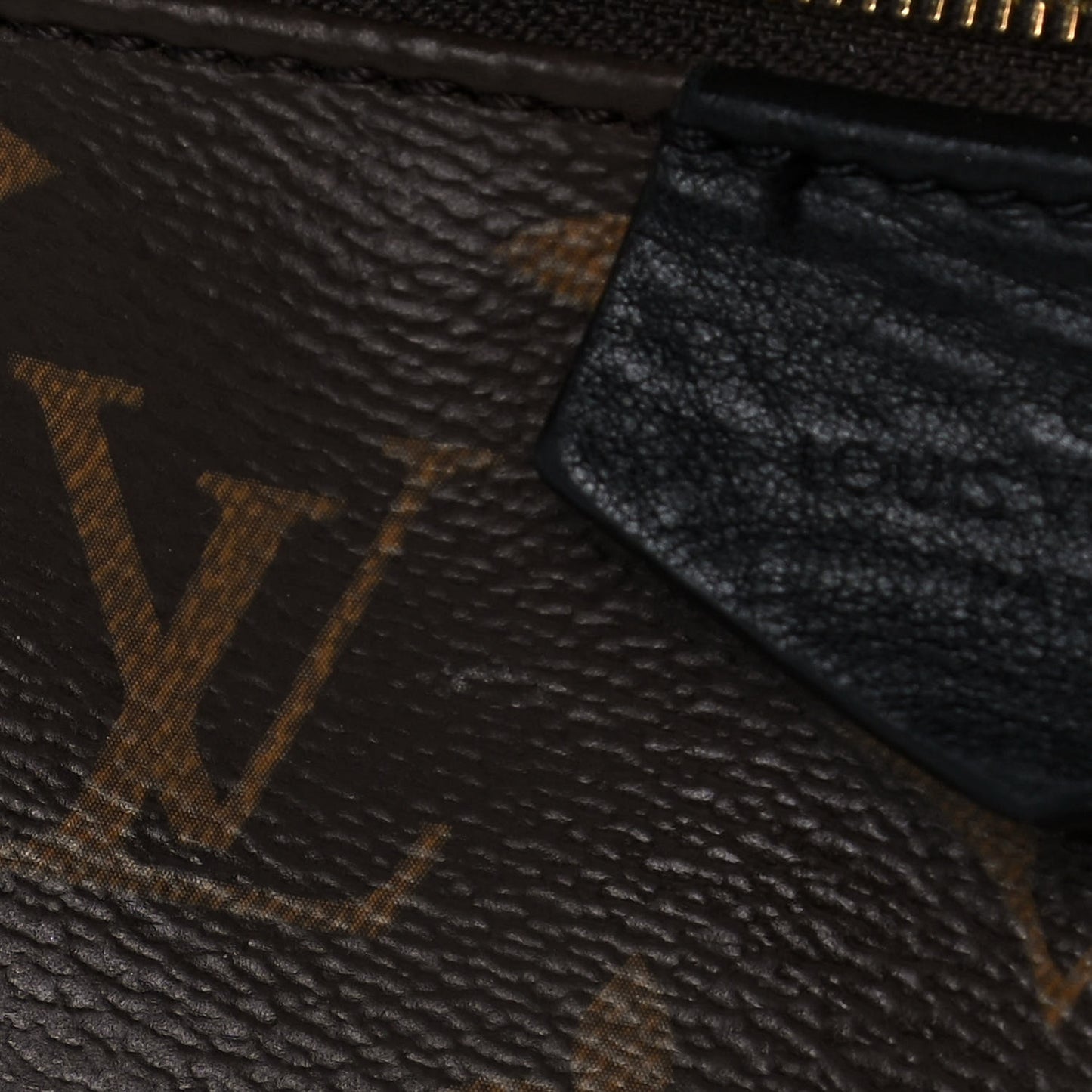 Monogram Palm Springs Backpack MM