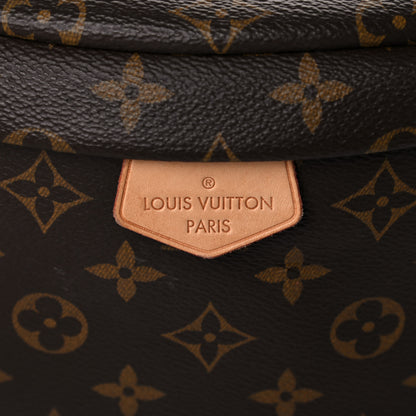 Louis Vuitton Monogram Bumbag 8 of 16