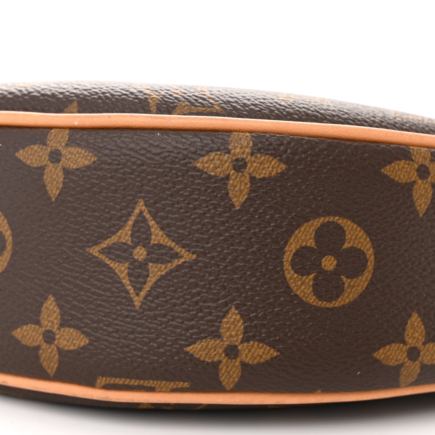 Louis Vuitton Monogram Loop 9 of 10