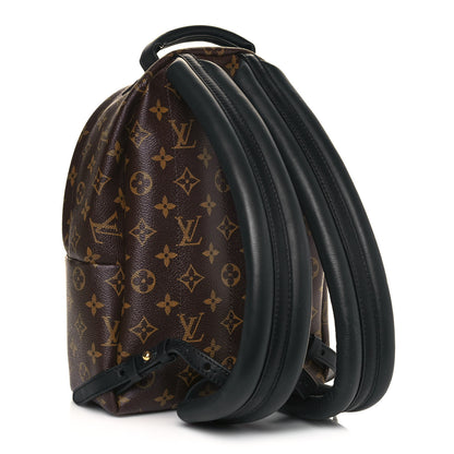 Louis Vuitton Monogram Palm Springs Backpack PM 3 of 11