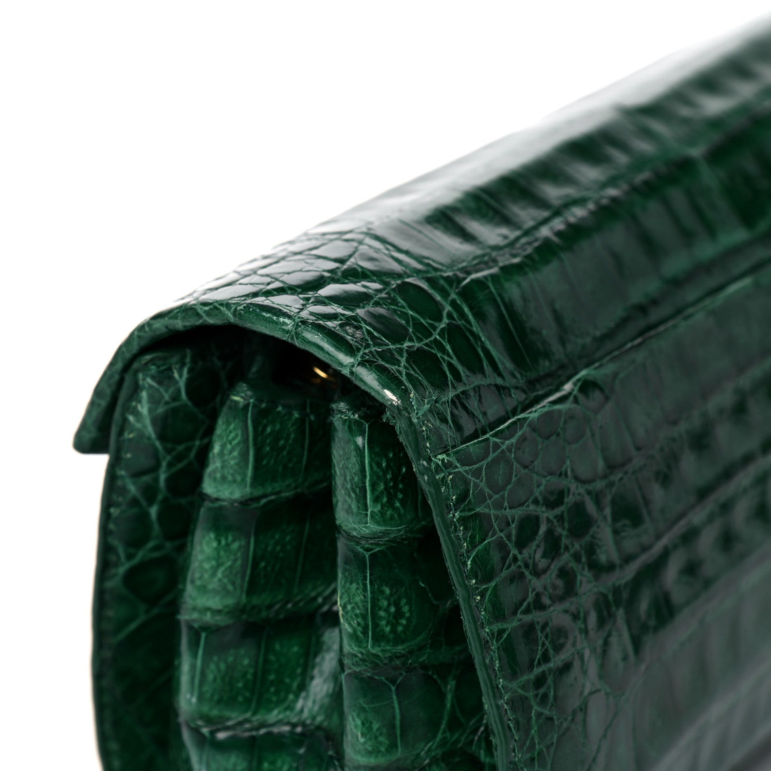 Nancy Gonzalez Crocodile Amour Clutch Green 14 of 16
