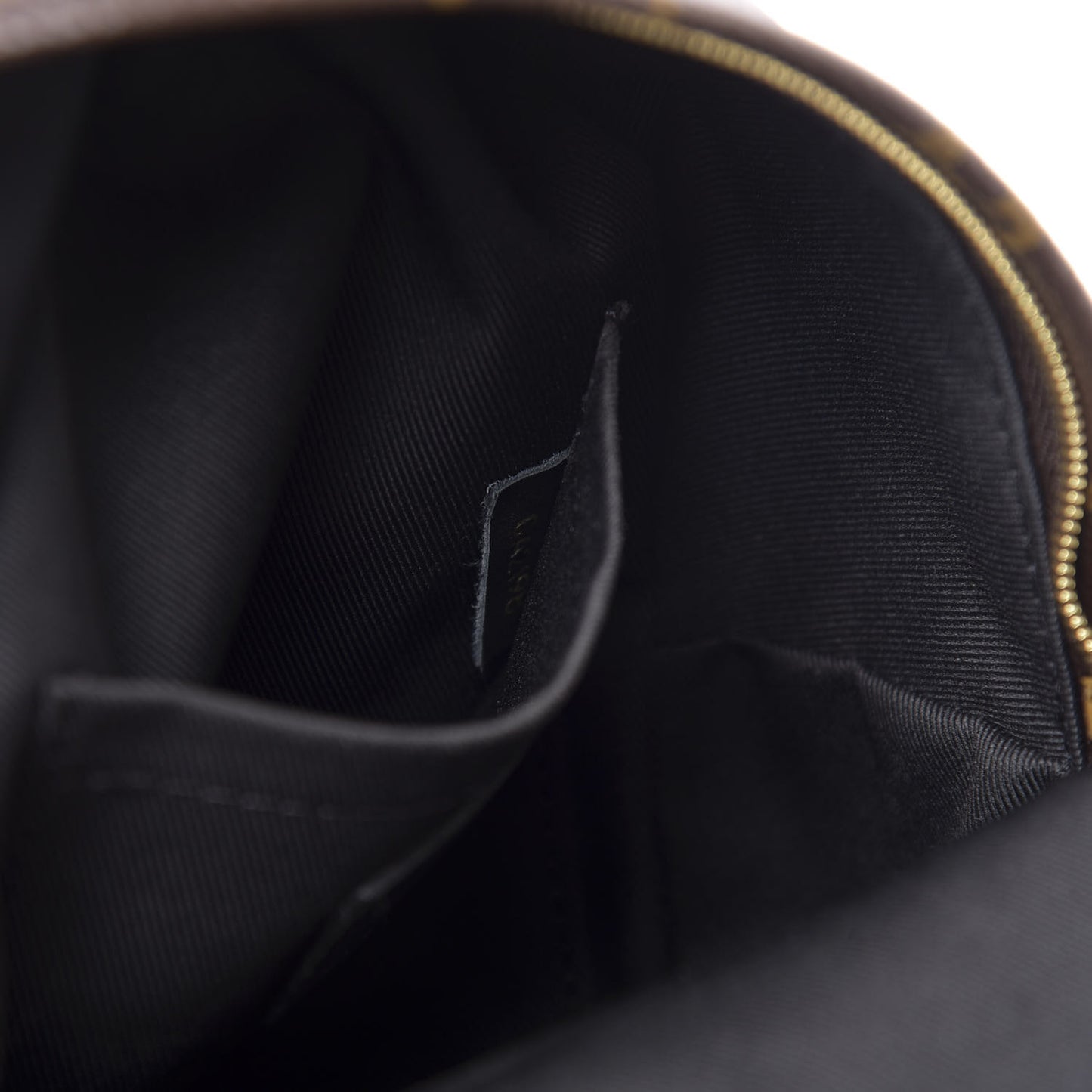 Monogram Palm Springs Backpack Mini
