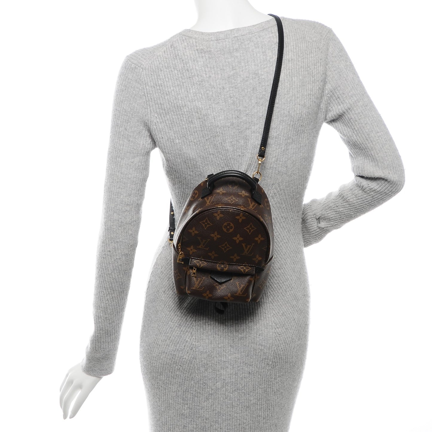 Monogram Palm Springs Backpack Mini