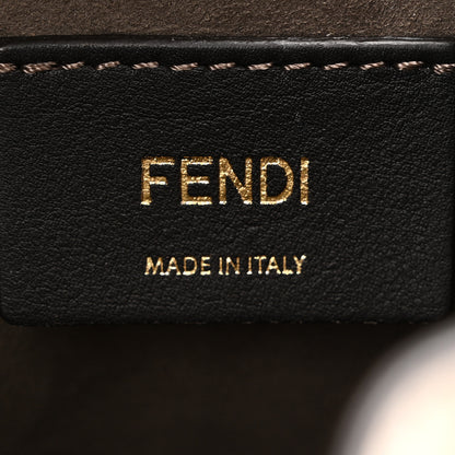 Fendi Vitello Cruise F is Fendi Mini Mon Tresor Bucket Bag White Ice 6 of 10
