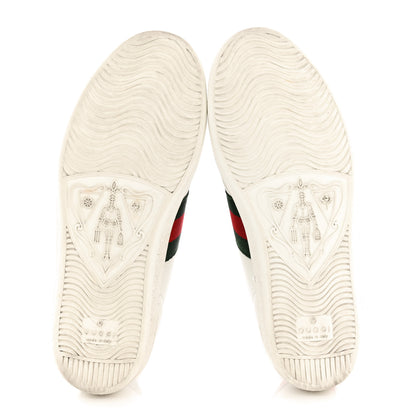 Gucci Calfskin Ayers Bee Embroidered Womens Ace Sneakers 35 White Green 5 of 12