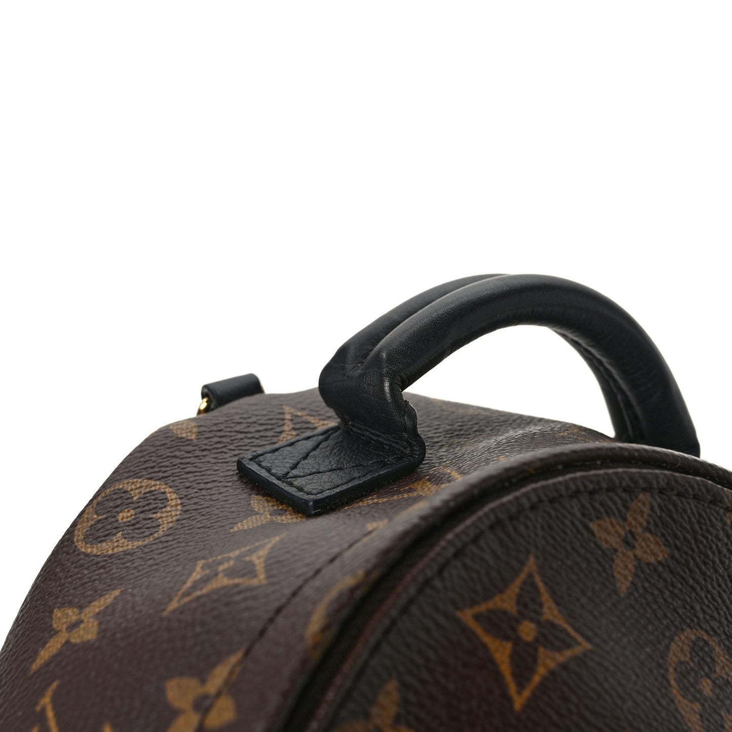 Monogram Palm Springs Backpack Mini