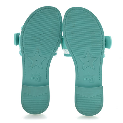 Christian Dior Nylon Oblique Dio(r)evolution Slide Sandals 37 Sky Blue 6 of 9