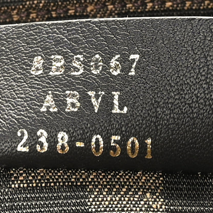 Fendi Vitello King Plexiglass Logo Embossed Mini By The Way Top Handle Boston Bag Caramello 7 of 9