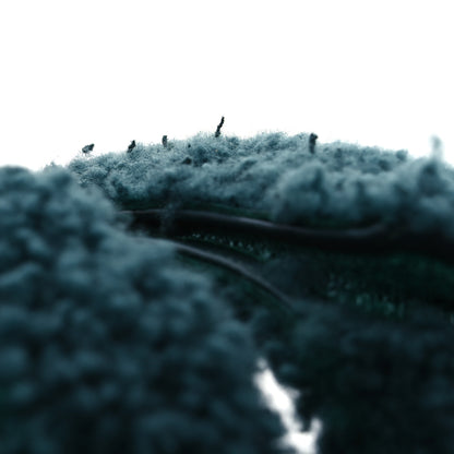 Hermes Woolskin Womens Chypre Sandals 37 Vert Anglais 10 of 12