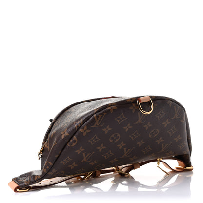 Louis Vuitton Monogram Bumbag 6 of 14