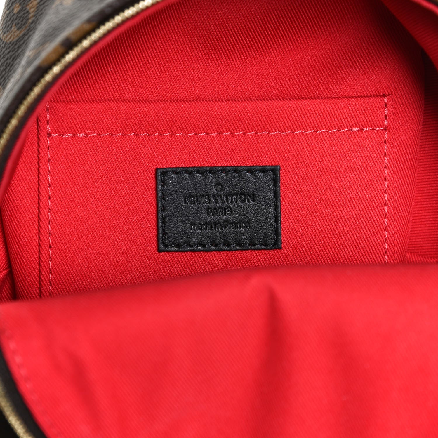 Louis Vuitton Monogram My World Tour Palm Springs Backpack Mini 5 of 12