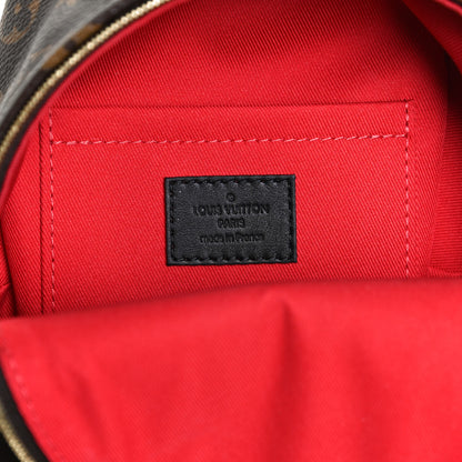 Louis Vuitton Monogram My World Tour Palm Springs Backpack Mini 5 of 12