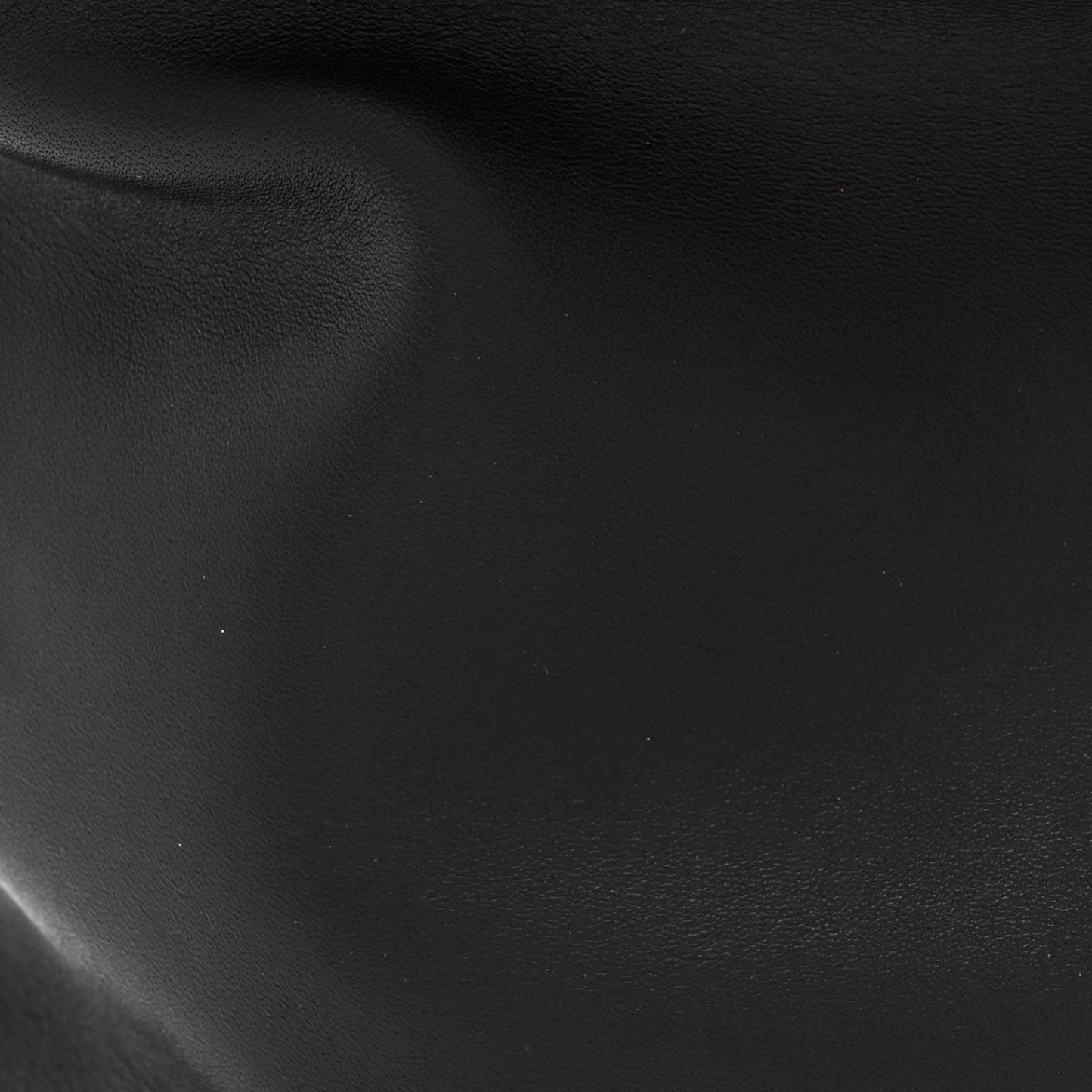 Smooth Calfskin Medium Fanny Black