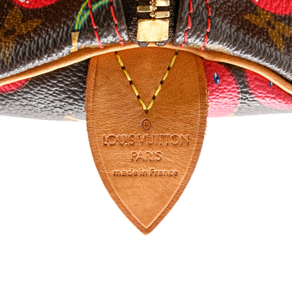 Louis Vuitton Monogram Cerises Keepall 45 6 of 19