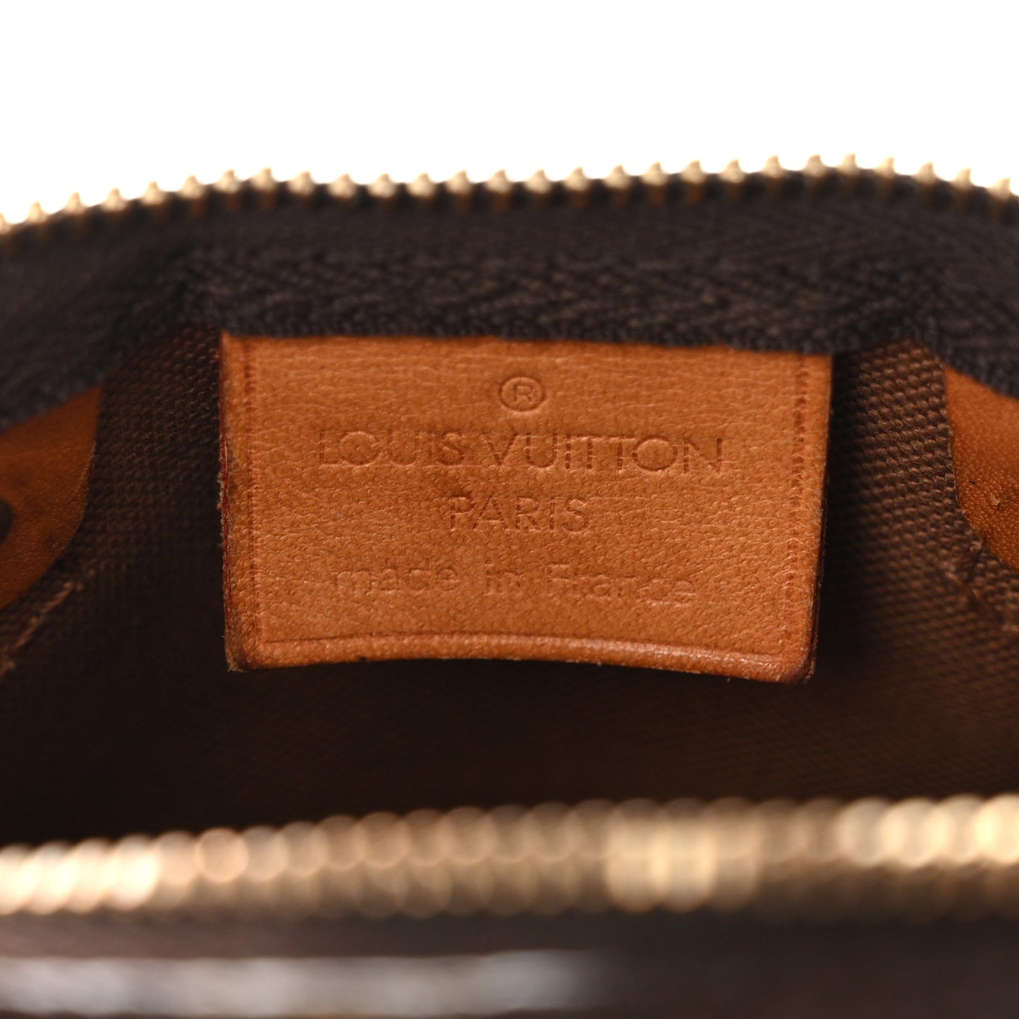 Monogram Nano Speedy