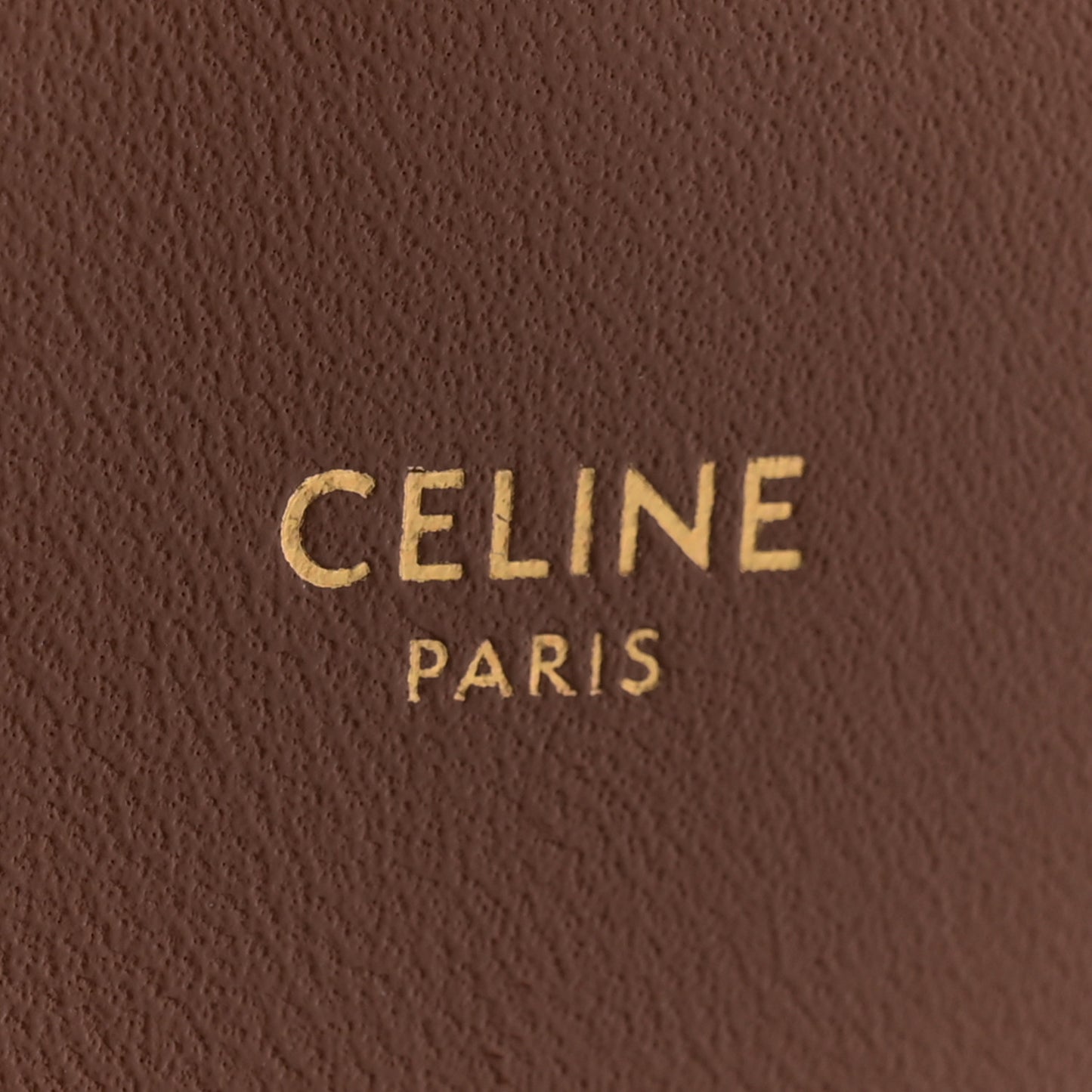 Calfskin Triomphe Canvas Teen Triomphe Bag Tan