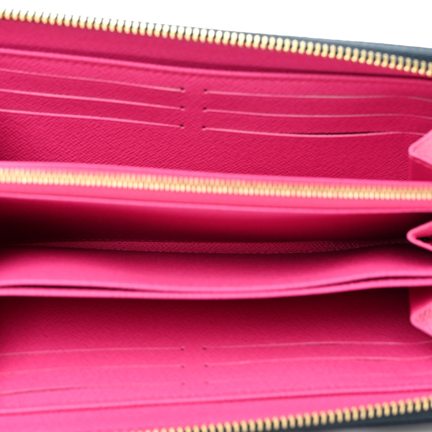 Monogram Giant Spring In The City Zippy Wallet Midnight Fuchsia