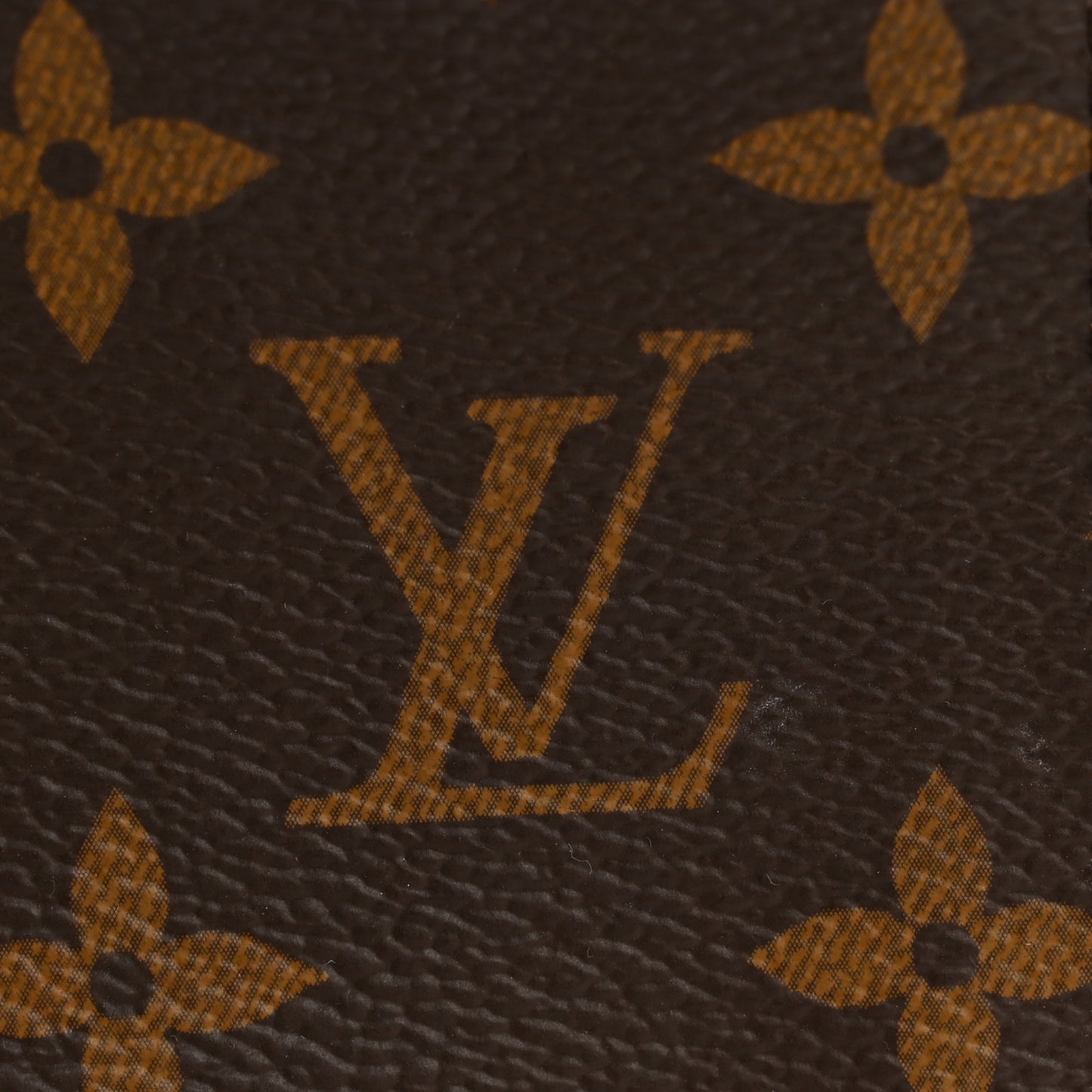 Monogram Nice Mini