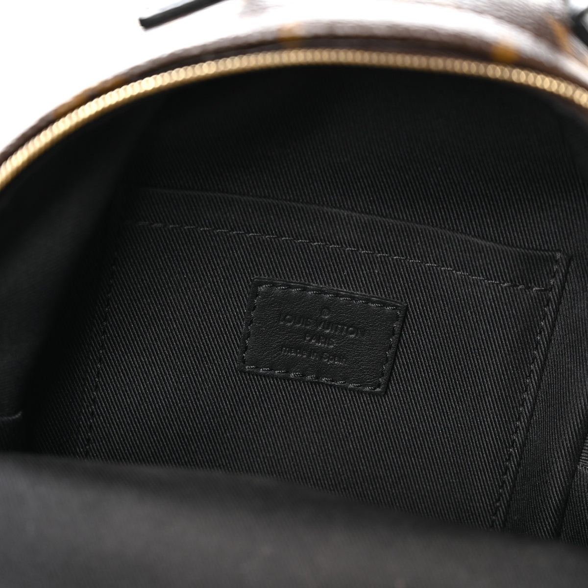 Louis Vuitton Monogram Palm Springs Backpack Mini 5 of 9