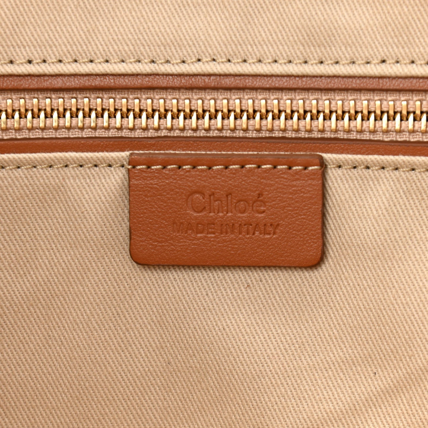 Smooth Calfskin Little Horses Embroidered Tao Zipped Tote Caramel