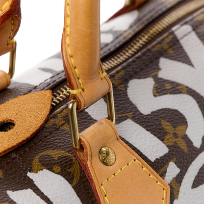 Louis Vuitton Monogram Graffiti Speedy 30 Silver 16 of 16